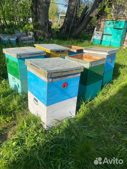 Продам ульи для пчел