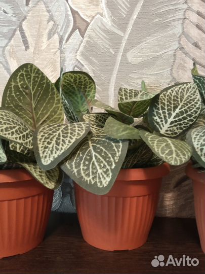 Искусственные цветы для декора