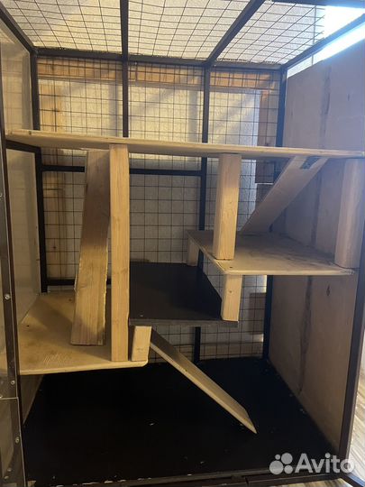Витрина для шиншилл