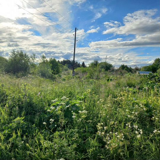 Участок 10 сот. (ИЖС)