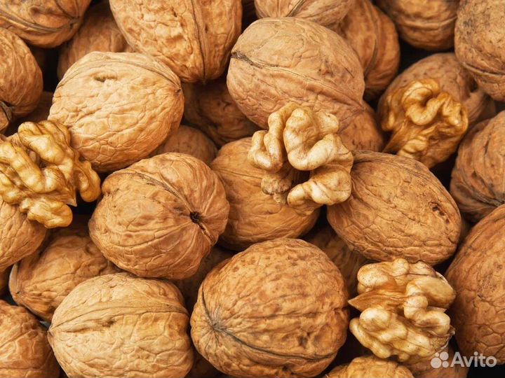 Орех грецкий