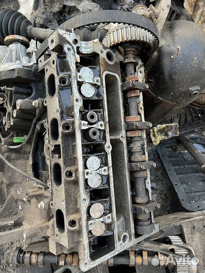 Двигатель ford focus 2 1.6 115 л с hxda