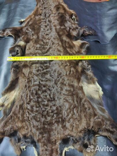 Шкура каракуля