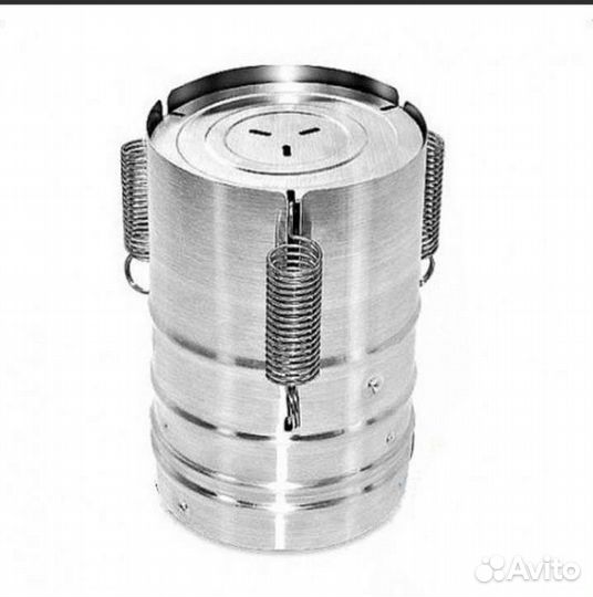 Ветчинница белобока