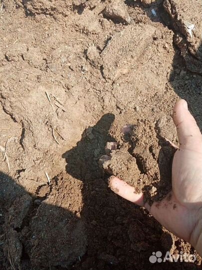 Навоз кроличий в мешках