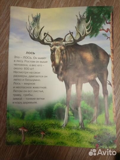 Детские книжки пакетом