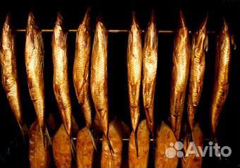 Коптильщик рыбы