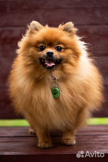 Цифровой (умный) адресник NFC+QR код