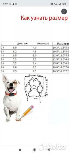 Обувь для собак