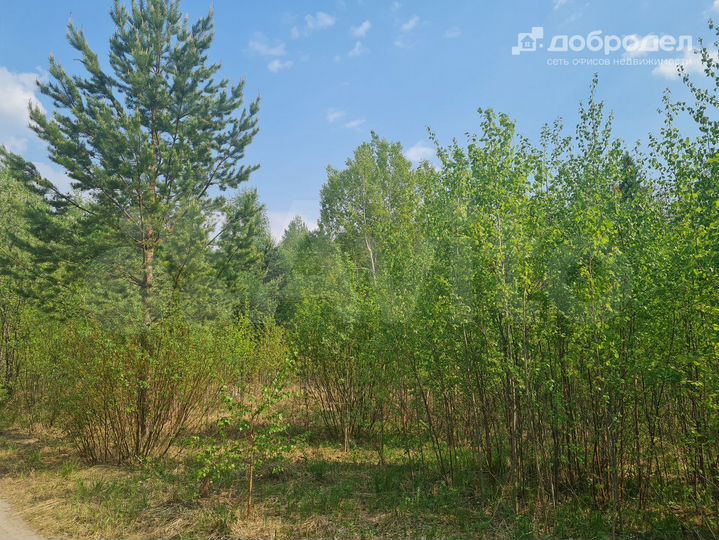 Участок 9,4 сот. (СНТ, ДНП)