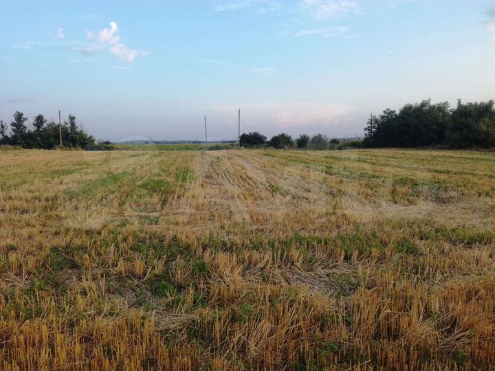 Участок 20 сот. (ИЖС)