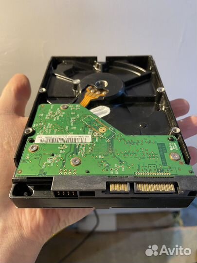 Жесткий диск wd 500gb