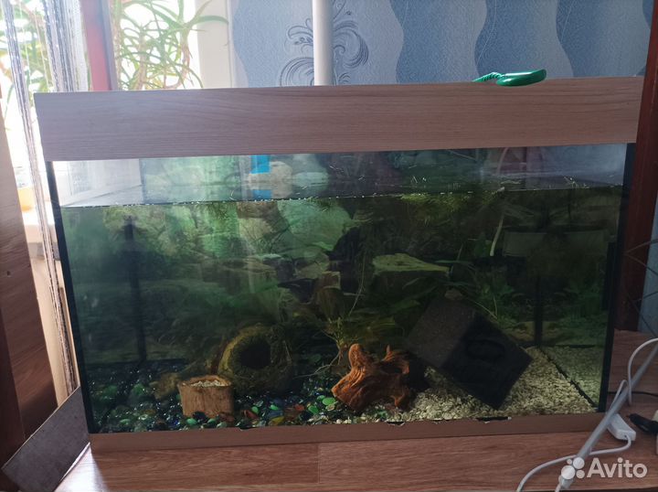 Аквариум