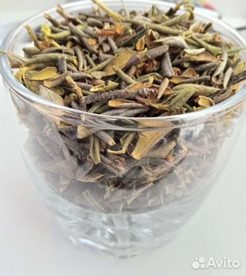 Саган дайля