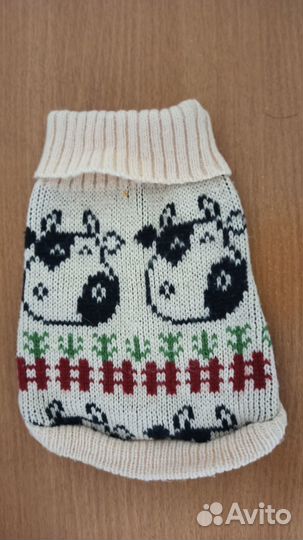 Одежда для собак мелких пород