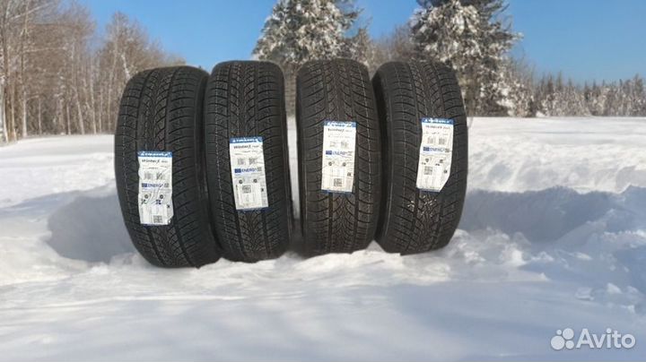 Triangle WinterX TW401 205/45 R17 87V