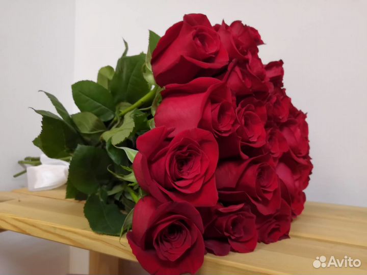 Красная роза 001