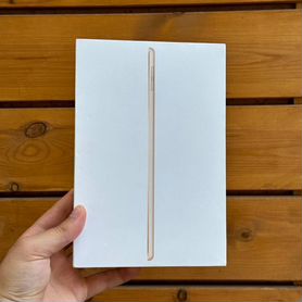 iPad Mini 5 256GB cellular