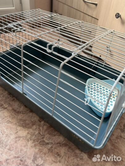 Клетка для животных