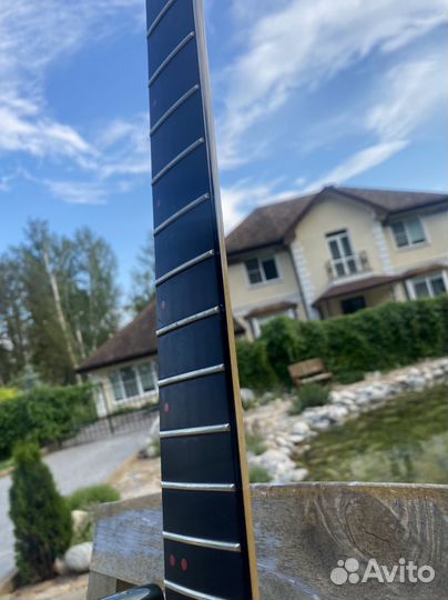 Shamray custom суперстрат Эбони под проект