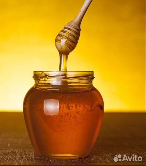 Свежий мёд 2023