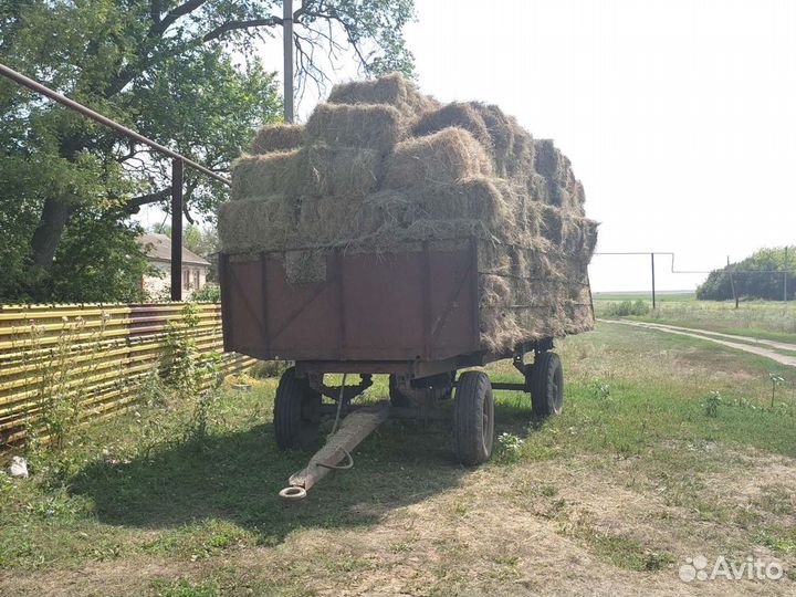 Сено в квадратных тюках