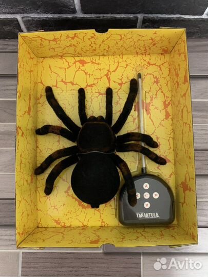 Паук на радиоуправлении