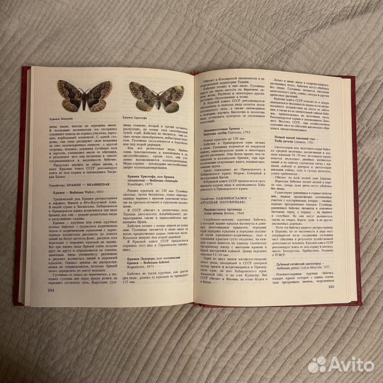 Редкие животные нашей страны энциклопедия