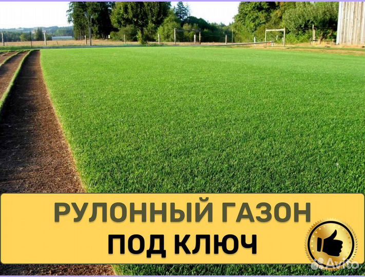 Рулонный газон под ключ Стандартный