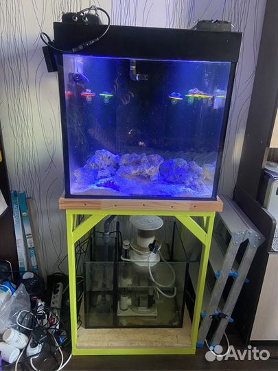 Морской аквариум 150 литров