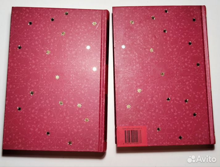 Иллюстрированный Ветхий Завет (2 тома)