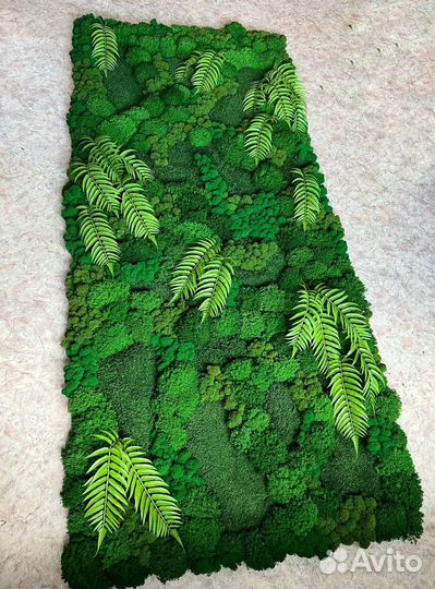 Озеленение без ухода