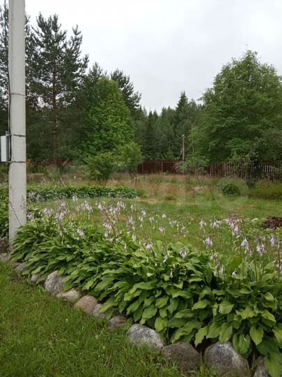 Участок 20 сот. (СНТ, ДНП)