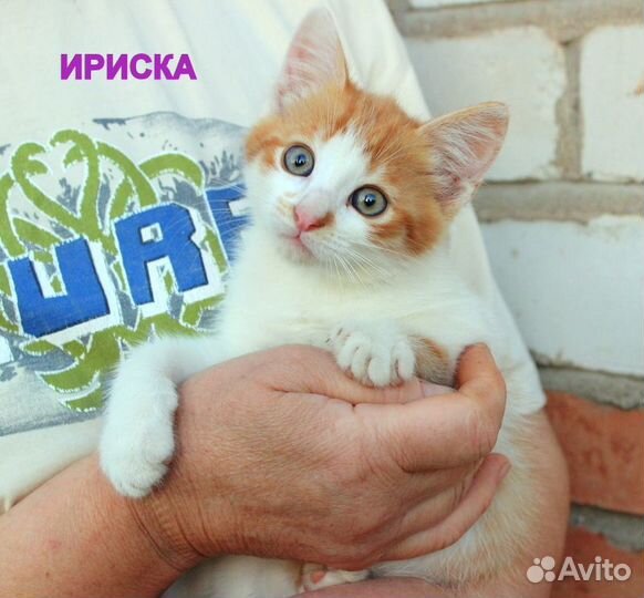 Малыши ищут свои семьи