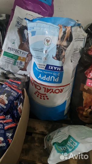 Корм для собак