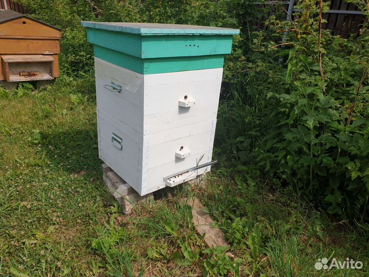 Улей с пчелами