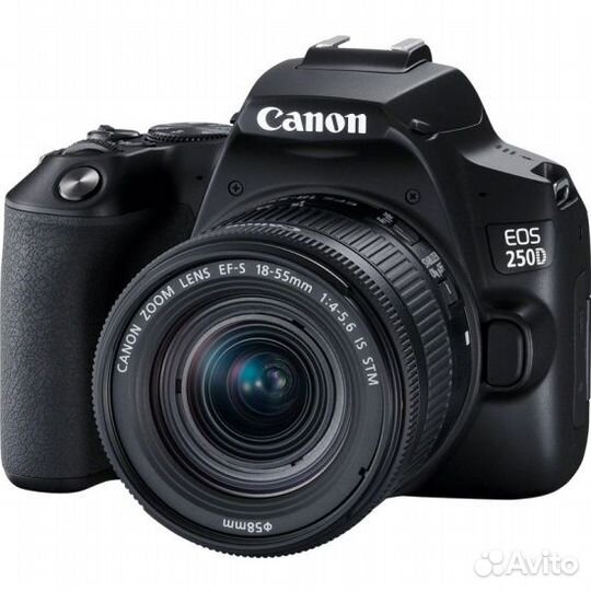 Зеркальный фотоаппарат canon eos 250 d 18-55 is st