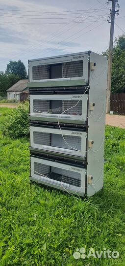 Клетки для перепелов бу смоленск