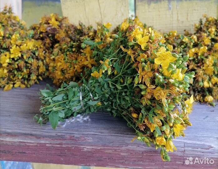 Травы полезные для здоровья