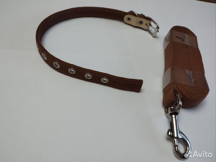 Ошейник с поводком