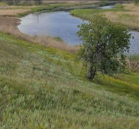 Участок 6 сот. (СНТ, ДНП)