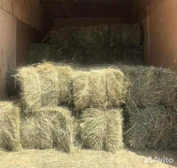 Сено в тюках