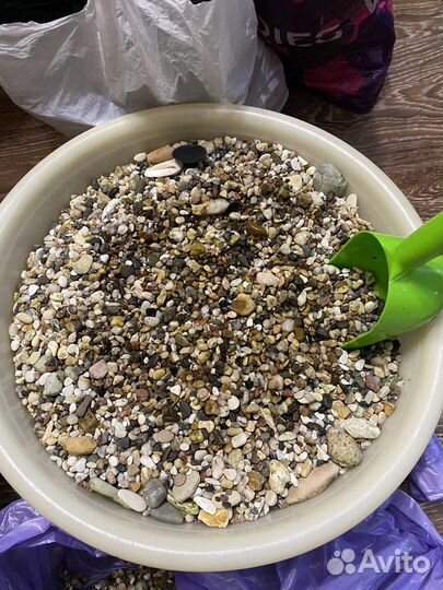 Фильтр tetra компрессор sera оборудование