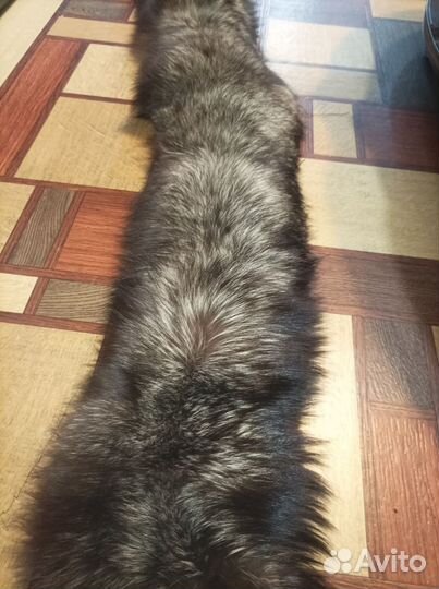 Шкурка животного