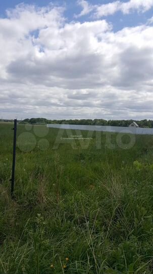 Участок 5 га (ИЖС)