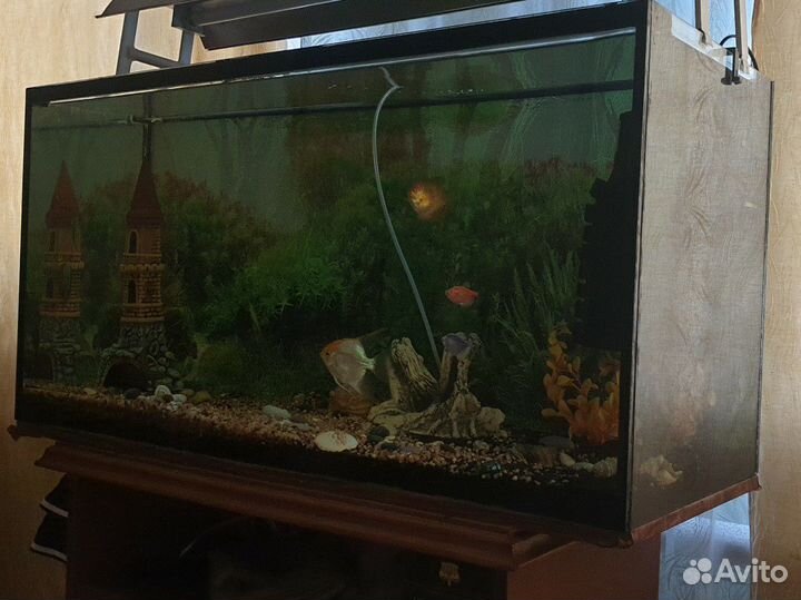 Украшение для аквариума