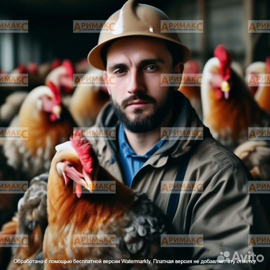 Подсобный рабочий, вахта, жилье бесплатно