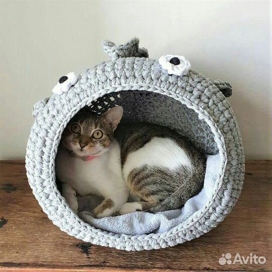 Передержка домашних животных на время отпуска