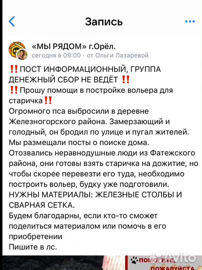 Собака в добрые руки