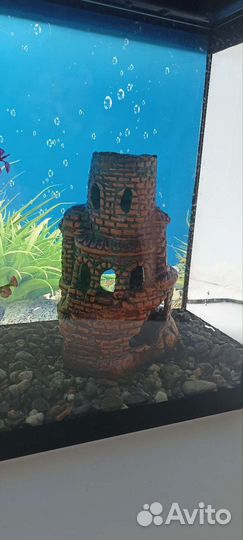 Аквариум
